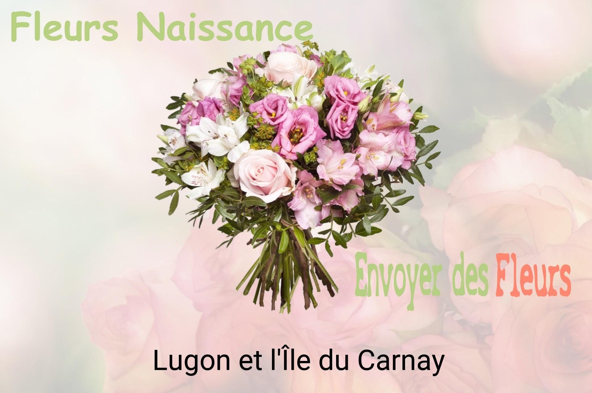 Bouquet de fleurs de naissance livré à Lugon-et-l'Île-du-Carnay